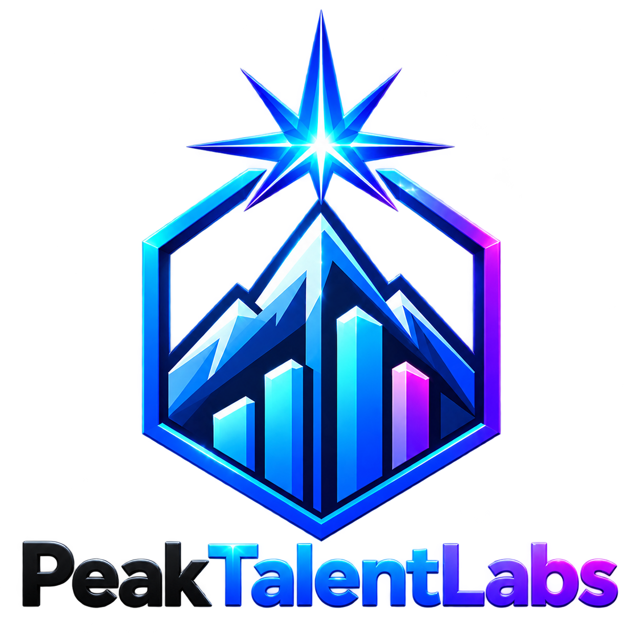 PeakTalentLabs Emblem